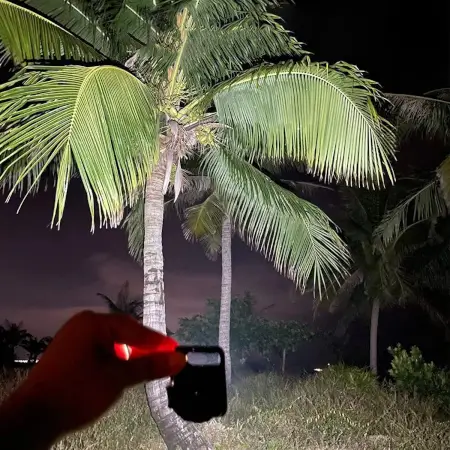 LED Battery Operated Keychain Flashlight with COB Light & Bottle Opener ( default, Standard ).